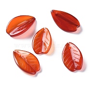 Natural Carnelian/Red Agate Pendants, Leaf, 19.5x11.5x4mm, Hole: 0.8mm(G-F697-A01)
