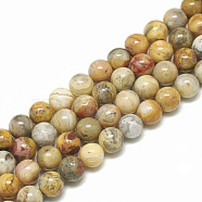 Natural Crazy Agate Beads Strands, Round, 6mm, Hole: 1mm, about 61pcs/strand, 14.7 inch(G-S300-40-6mm)