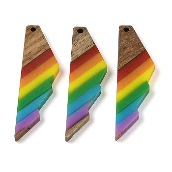 Pride Rainbow Theme Resin & Walnut Wood Pendants, Wing, 53x14x3.5mm, Hole: 2mm