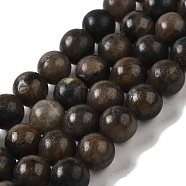 Natural Chiastolite Beads Strands, Round, 12mm, Hole: 1.4mm, about 34pcs/strand, 15.94''(40.5cm)(G-Q161-A03-05)