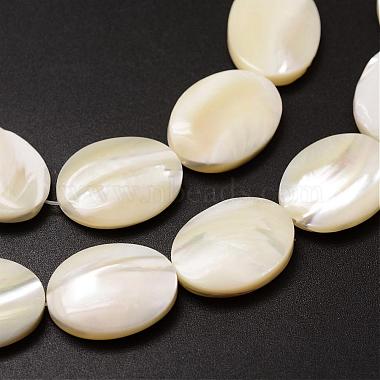 Natural Trochid Shell/Trochus Shell Beads Strands(SSHEL-K008-01)-3