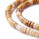 Natural Crazy Agate Beads Strands(G-A201-A05)-3