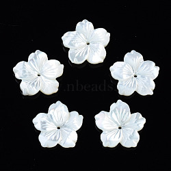 Natural White Shell Mother of Pearl Shell Beads, Flower, 17.5x18x3mm, Hole: 1mm(SSHEL-T014-42C)