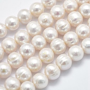 Natural Cultured Freshwater Pearl Beads Strands, Round, Floral White, 10~11mm, Hole: 0.8mm, about 42pcs/strand, 14.7 inch(PEAR-K003-11A)