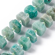 Natural Amazonite Beads Strands, Faceted, Flat Round, 14x14x5~8.5mm, Hole: 1.8mm, about 30pcs/strand, 14.76 inch(37.5cm)(G-C008-B04)