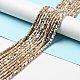 Electroplated Natural Howlite Bead Strands(G-D470-01D)-4
