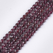Natural Garnet Beads Strands, Faceted, Flat Round, 4~4.5x2.5~3mm, Hole: 0.8mm, about 88~89pcs/strand, 14.9 inch~15.1 inch(G-S354-42A)