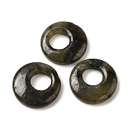 Natural Labradorite Pendants, Donut/Pi Disc Charms, 27.5~28x4.5~5.5mm(G-T122-76C)