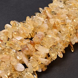 Natural Citrine Chip Beads Strands, Dyed & Heated, 8~30x5~12mm, Hole: 1mm, about 15.3 inch~15.7 inch(X-G-E271-41)