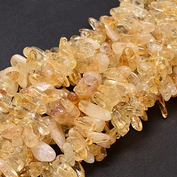 Natural Citrine Chip Beads Strands, Dyed & Heated, 8~30x5~12mm, Hole: 1mm, about 15.3 inch~15.7 inch