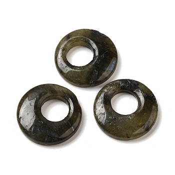 Natural Labradorite Pendants, Donut/Pi Disc Charms, 27.5~28x4.5~5.5mm