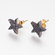 Electroplate Natural Druzy Agate Stud Earrings, with Brass Findings, Star, Black Plated, 10x11x3mm, Pin: 0.8mm(EJEW-F156-01A)