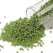 TOHO Round Seed Beads, Japanese Seed Beads, (1046) Inside Color Luster Peridot/Opaque White Lined, 11/0, 2.2mm, Hole: 0.8mm, about 1110pcs/10g(X-SEED-TR11-1046)