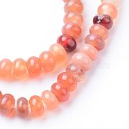 Natural Carnelian Bead Strands, Rondelle, 6x4mm, Hole: 1mm, about 95~98pcs/strand, 14.17~14.96 inch(G-R403-4x6-16)