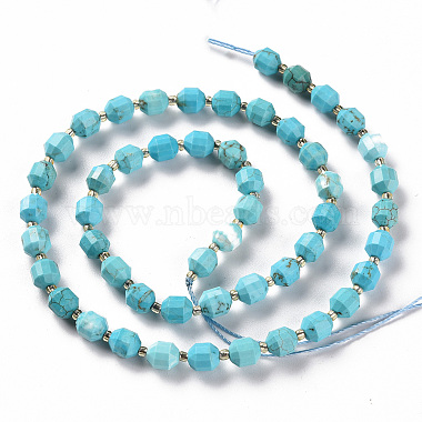 Synthetic Turquoise Beads Strands(G-S362-088B)-2