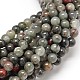 Natural Bloodstone Beads Strands(G-P025-21-12mm)-1