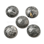 Natural Map Stone Cabochons, Flat Round, 20~21.5x6~8mm(G-C115-02A-20)