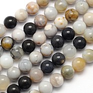 Natural Dendritic Agate Round Beads Strands, 8mm, Hole: 1mm, about 49pcs/strand, 15.3 inch(G-N0166-01-8mm)