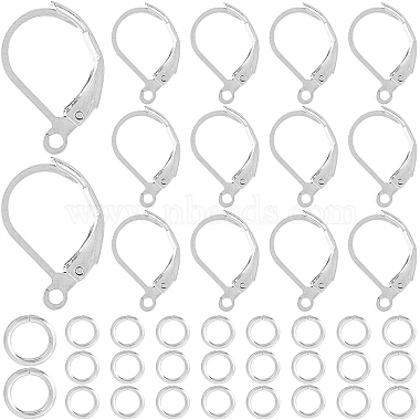 Stainless Steel Color 304 Stainless Steel Leverback Earring Findings