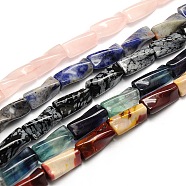 Mixed Natural Gemstone Twist Column Beads Strands, 21x10x10mm, Hole: 1mm, about 20pcs/strand, 15.74 inch(G-L240-M)