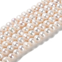 Natural Cultured Freshwater Pearl Beads Strands, Potato, Grade 3A+, PapayaWhip, 7~8x6~7mm, Hole: 0.7mm, about 58pcs/strand, 15.55''(39.5cm)(PEAR-E018-15)
