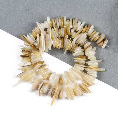 Natural Trochus Shell Beads Strands(BSHE-H109-08)-2