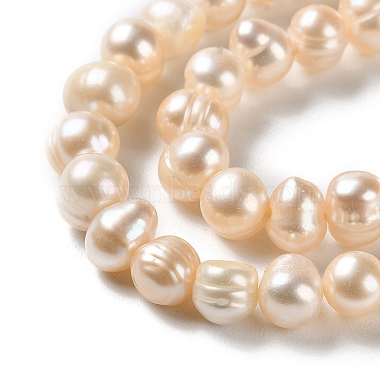 Natural Cultured Freshwater Pearl Beads Strands(PEAR-E018-78)-3