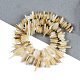 Natural Trochus Shell Beads Strands(BSHE-H109-08)-2