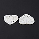 Natural Freshwater Shell Pendants(SHEL-H001-05)-4
