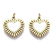 316 Surgical Stainless Steel Charms, with Shell and Jump Rings, Heart, Real 14K Gold Plated, 12.5x12x1.5mm, Jump Ring: 3.4x0.5mm, 2.4mm inner diameter(STAS-S116-317G)