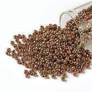 TOHO Round Seed Beads, Japanese Seed Beads, (1707) Gilded Marble Orange, 8/0, 3mm, Hole: 1mm, about 222pcs/bottle, 10g/bottle(SEED-JPTR08-1707)