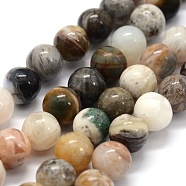 Natural Bamboo Leaf Agate Beads Strands, Round, 6mm, Hole: 0.8mm, about 62pcs/strand, 15.3 inch(39cm)(G-G763-03-6mm)