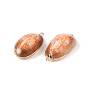 Natural Cowrie Shell Pendants, Shell Shaped Charms with Golden Tone Iron Loops, Sandy Brown, 25~34x12~20x9~15mm, Hole: 1.6~1.8mm(SSHEL-N038-40)