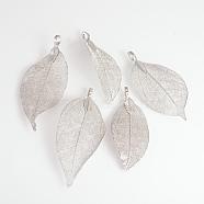 Electroplated Natural Leaf Big Pendants, with Iron Findings, Platinum Plated, 50~80x20~35x1mm, Hole: 3x6mm(IFIN-Q119-03K)