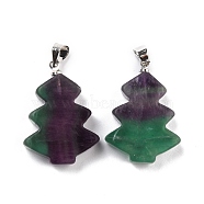 Natural Fluorite Pendants, with Platinum Tone Brass Findings, Tree, 26~27x18.5~19x5.5mm, Hole: 5x4mm(G-A203-01E-P)
