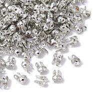 Iron Bead Tips, Calotte Ends, Clamshell Knot Cover, Platinum, 6x3.5mm, Hole: 1mm, Inner Diameter: 2.4mm(IFIN-FS0001-28A-P)