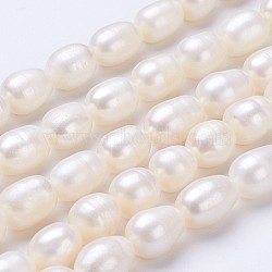 Natural Cultured Freshwater Pearl Beads Strands, Oval, Seashell Color, 11~13x9~10mm, Hole: about 0.5mm, about 30pcs/strand, 13.8 inch(PEAR-P002-15)
