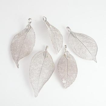 Electroplated Natural Leaf Big Pendants, with Iron Findings, Platinum Plated, 50~80x20~35x1mm, Hole: 3x6mm