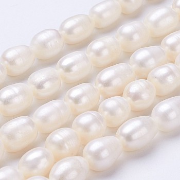 Natural Cultured Freshwater Pearl Beads Strands, Oval, Seashell Color, 11~13x9~10mm, Hole: about 0.5mm, about 30pcs/strand, 13.8 inch