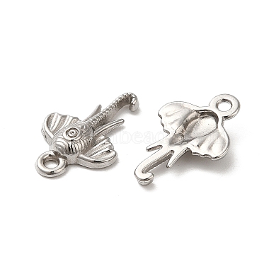 304 Stainless Steel Charm(STAS-I203-59P)-2