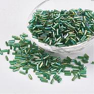 Glass Bugle Beads, Transparent Colours Rainbow, Lime Green, 12x2mm, Hole: 0.5mm, about 5000pcs/bag(SEED-E001-12mm-167)