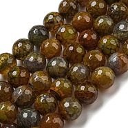 Faceted Natural Dragon Veins Agate Beads Strands, Round, Dyed & Heated, Coconut Brown, 12mm, Hole: 1.6mm, about 31pcs/strand, 14.76''(37.5cm)(G-F447-12mm-L09)