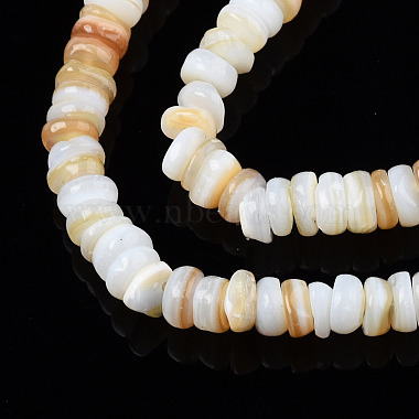 Natural Freshwater Shell Beads Strands(SHEL-S278-067)-3