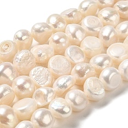 Natural Cultured Freshwater Pearl Beads Strands, Two Sides Polished, Grade 3A, PapayaWhip, 8.5~10x10~11x7~8mm, Hole: 0.5mm, about 37pcs/strand, 13.78 inch(35cm)(PEAR-E017-19)