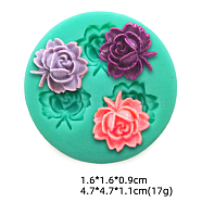 , For DIY Cake Decoration, Chocolate, Candy, Green, 47x11mm, Inner Diameter: 16x16x9mm(HUDU-PW0001-145F)