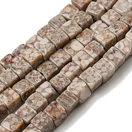 Natural Maifanite Beads Strands, Cube, 4~5x4~5x4~5mm, Hole: 1mm, about 86pcs/strand, 15.16 inch(38.5cm)(G-F631-K26)