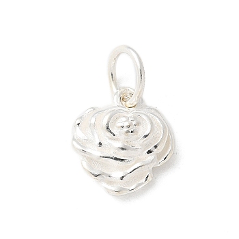 S925 Sterling Silver Pendant, Silver, 10.5x9.5x3.5mm