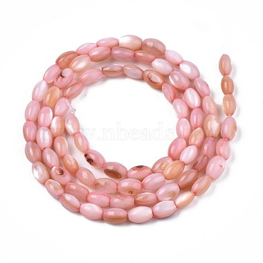 Chapelets de perles en coquille d'eau douce (SHEL-T009-B15-02)-2