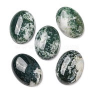 Natural Tree Agate Cabochons, Oval, 25x18~18.5x7mm(G-M430-01)