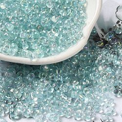 Glass Seed Beads, Peanut, Pale Turquoise, 5.5~6x3~3.5x3mm, Hole: 1~1.2mm, about 4000pcs/pound(SEED-K009-04A-01)